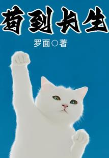 我把记忆碾成尘