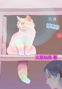 总有坏人想害朕