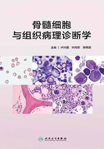 辰先生的婚然心动