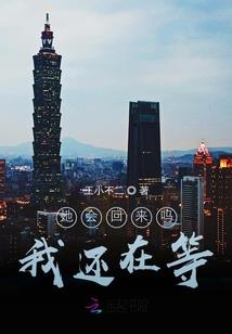 天书撰