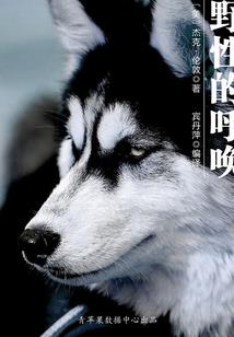 维和力量之凤凰文明