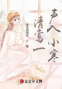 王者荣耀生涯