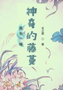 在你喜欢的季节沉睡