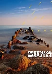 重生魔帝的炼情