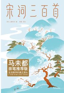三国之小霸王