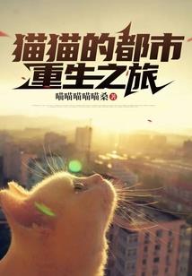 虚像矩阵