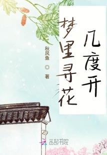 奈叶同人之无限幻想