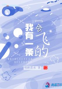 光翼侠