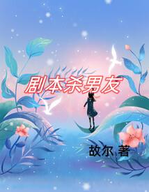 口袋妖怪之小风