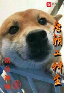 青春探险