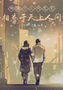 追凶十六年