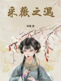 秦校侠风录