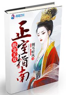 许枫传