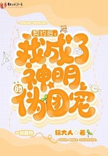 少年派的世界
