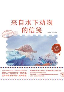 空空岩西山