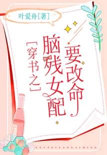 盗帅传奇