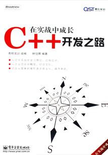 飞扬将军传