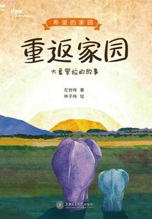 一个高中生的末期