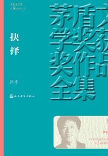 阳光地带