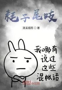 我的属性设置器