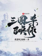 宠物小精灵之冰影
