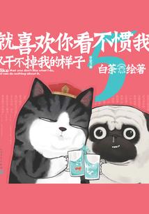 重生之杨门女将