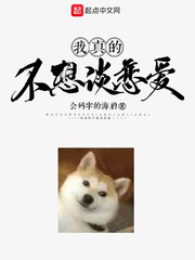 殇与飞