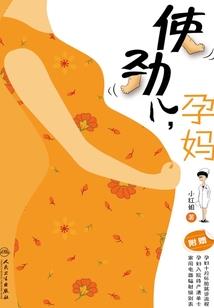濉溪碎花