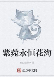 综夏目你好