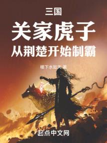 飞舞的流星