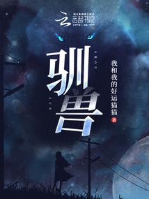 小龙枭雄记
