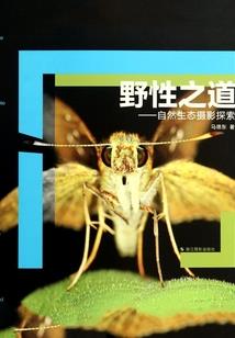 暗黑女王逃婚记