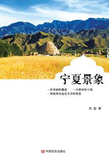拯救国民女神