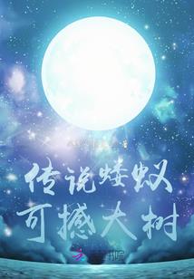 无影镜
