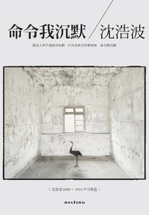 怪盗刘阿三