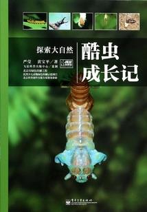 萌小猫,呆小狐